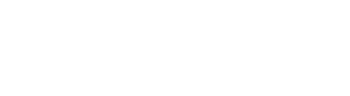 light logo
